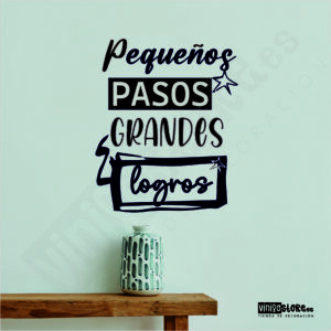 Pequeños pasos grandes logros