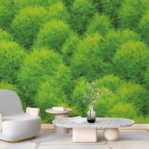 Vinilo Mural Arbustos Scoparia